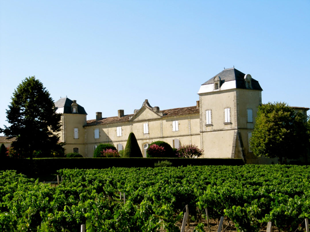 CHÂTEAU CALON SÉGUR Grand Cru Classé, Saint Estephe AOP | 2015