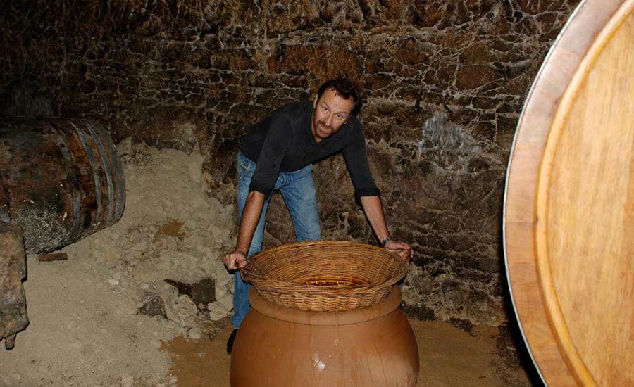 DOMAINE DES ROCHES NEUVES L'Insolite, Saumur Blanc AOP | 2021