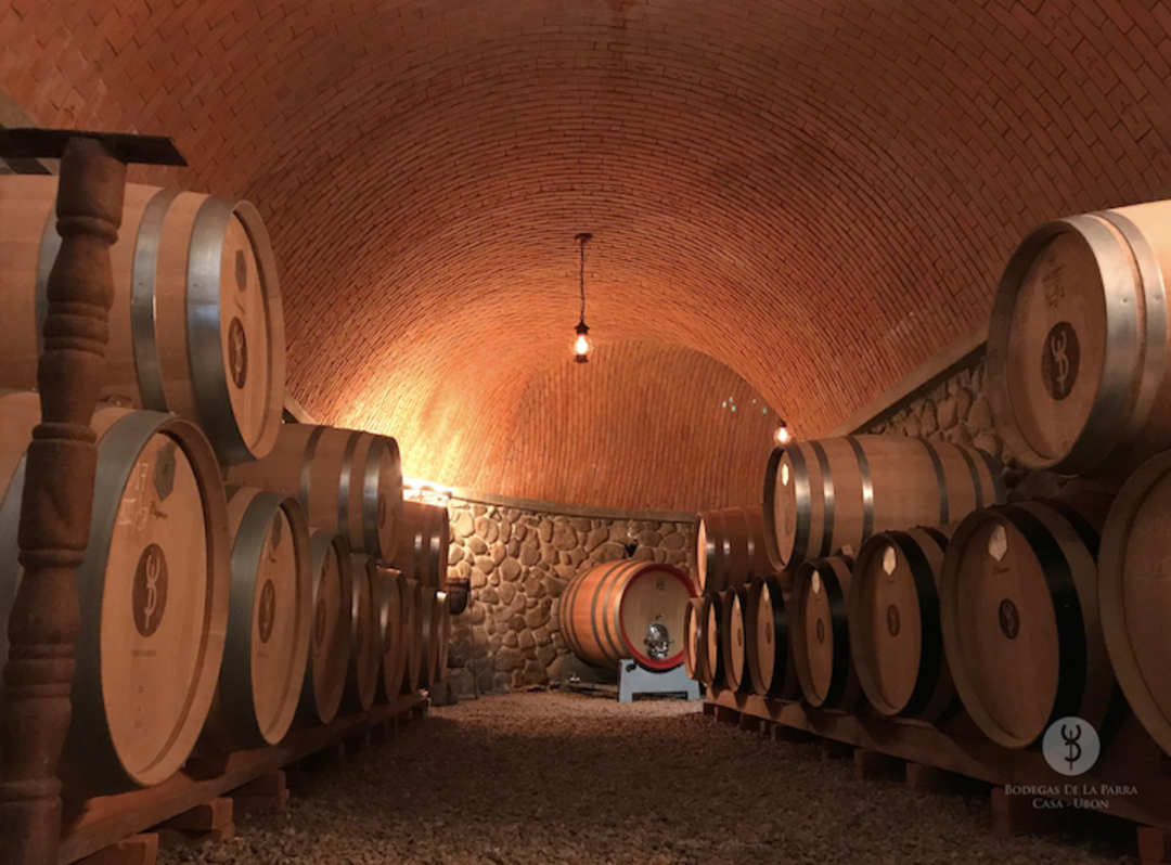 BODEGAS DE LA PARRA Paradoja, Aguascalientes | 2016