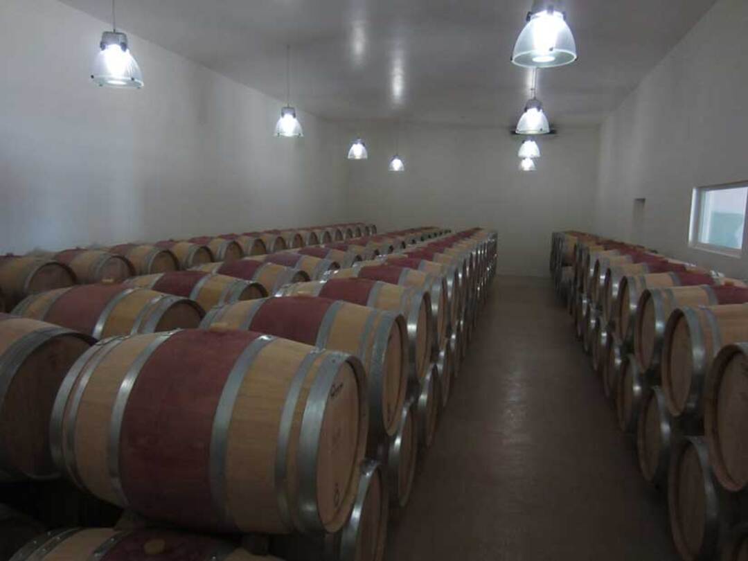CHÂTEAU BELLES GRAVES, Lalande de Pomerol AOP | 2015 MEDIA BOTELLA