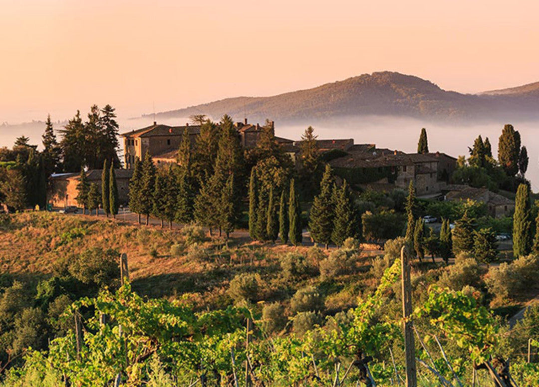 CASTELVECCHI Capotondo, Chianti Classico DOCG | 2019