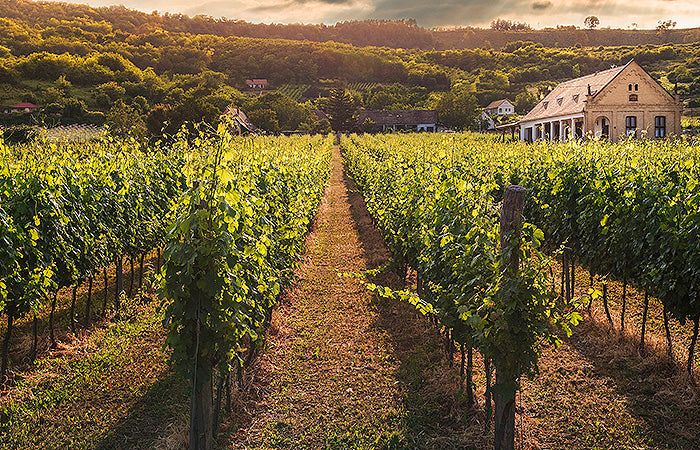 CHÂTEAU LA GORCE Médoc AOP | 2018