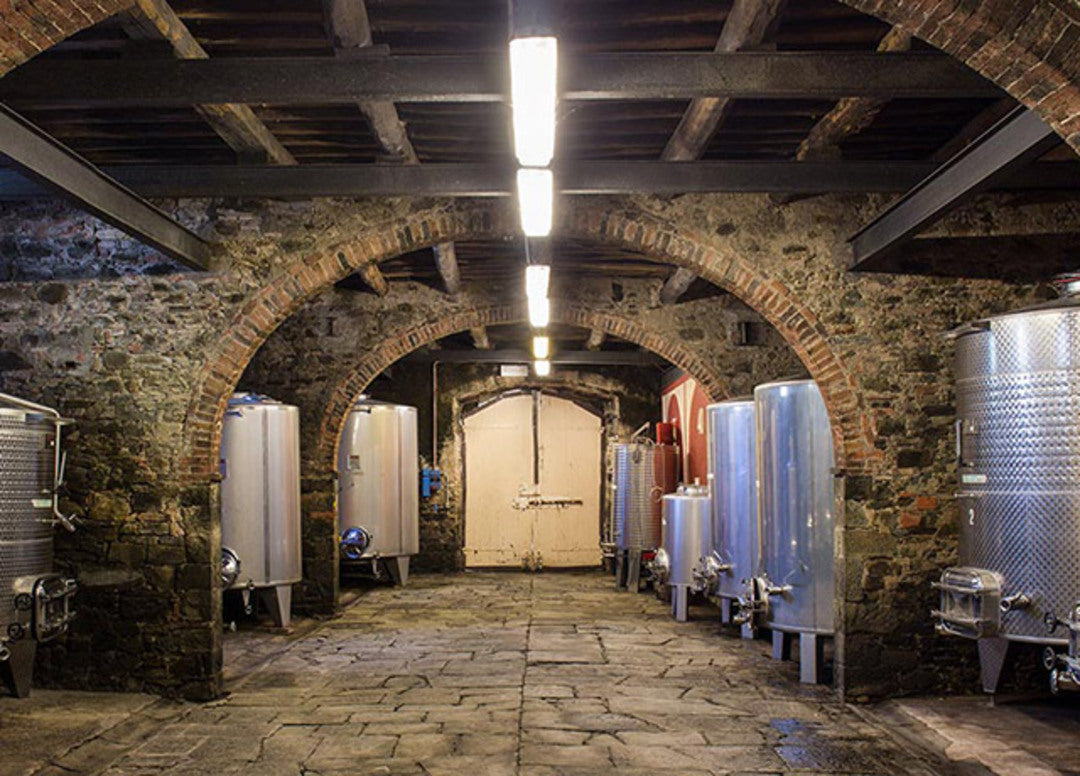 CASTELVECCHI Solana, Toscana IGP | 2015