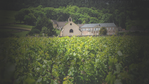 DOMAINE JM BOILLOT 1er Cru Les Rugiens, Pommard AOP | 2018