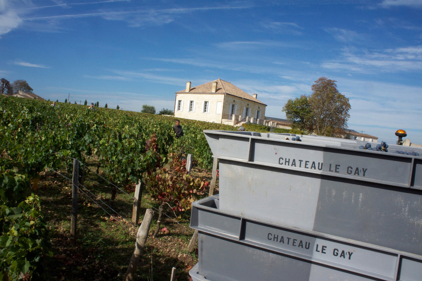 CHÂTEAU LE GAY Grand Vin, Pomerol AOP | 2014