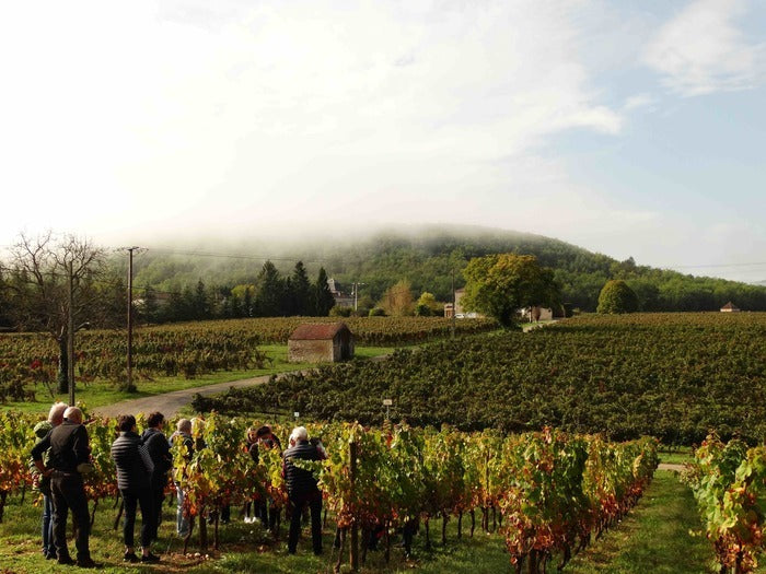 CHÂTEAU SAINT SERNIN Fûts de Chênes, Cahors AOP | 2015