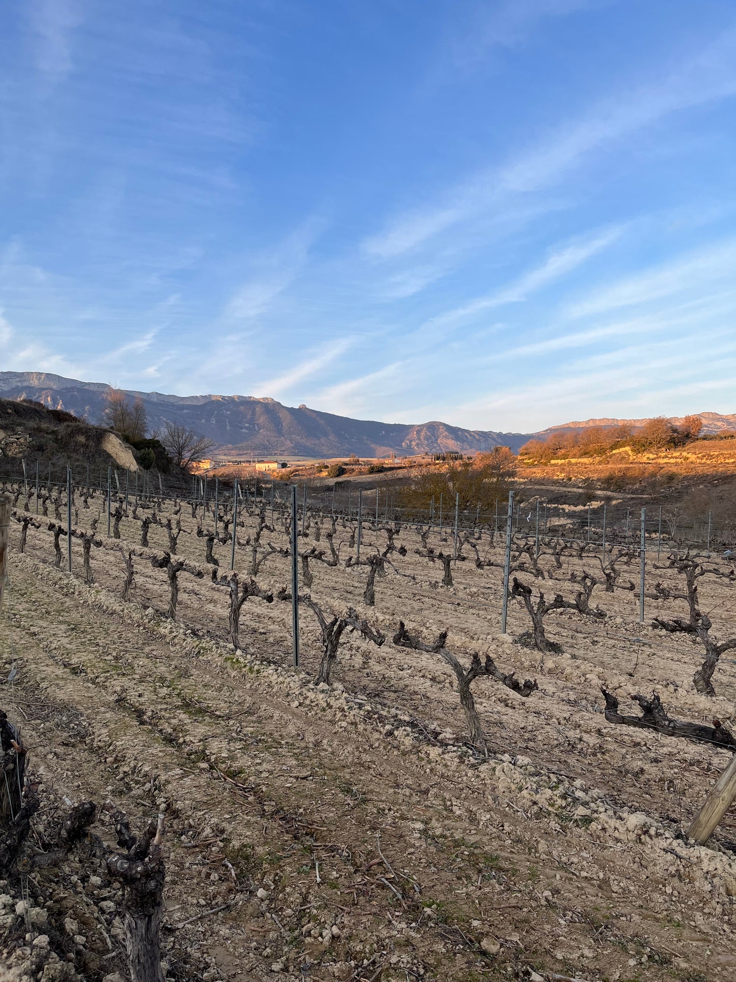 BODEGAS BHILAR, Phinca Abejera, Rioja | 2018