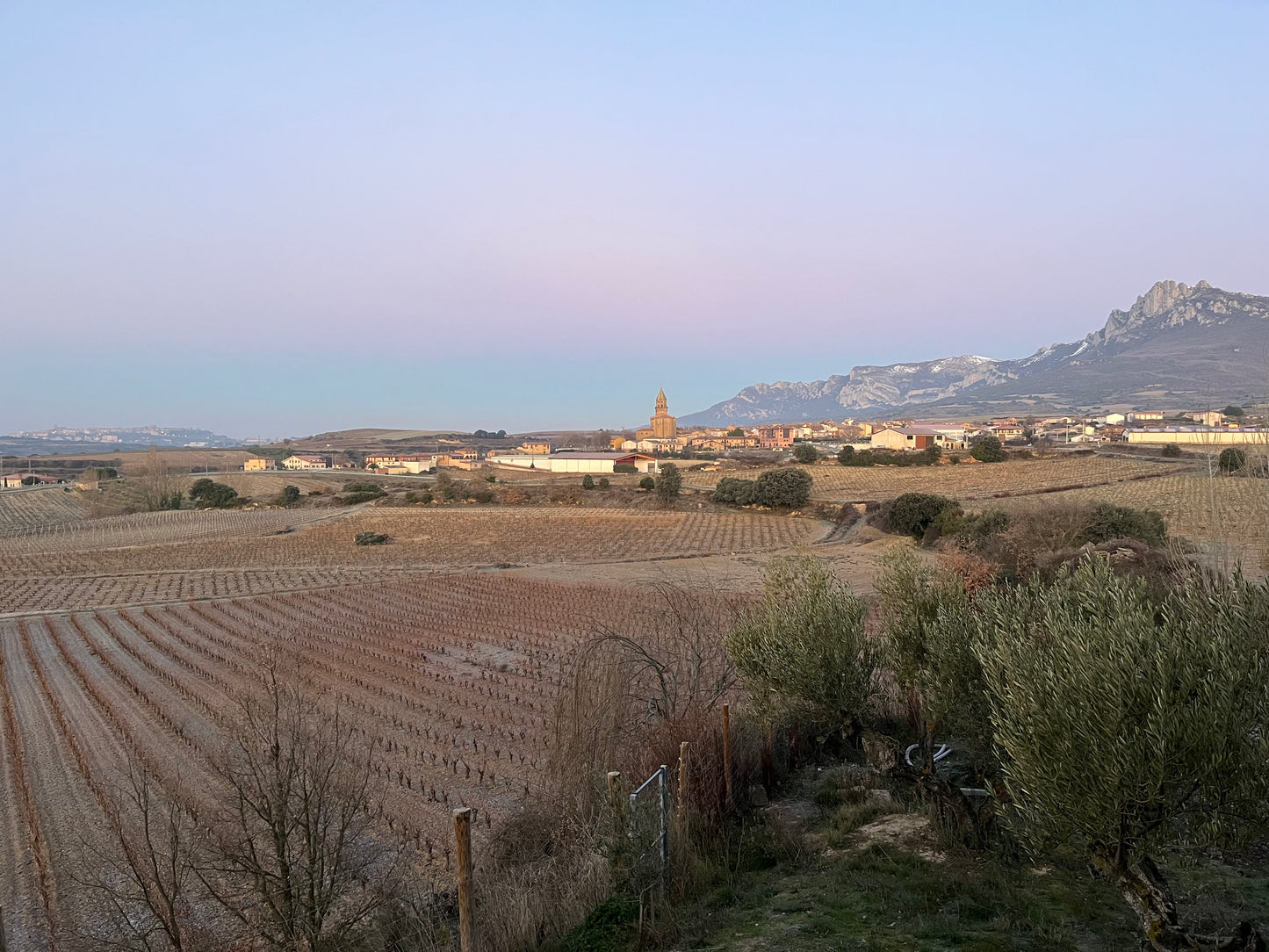 BODEGAS BHILAR, Phinca Abejera, Rioja | 2018