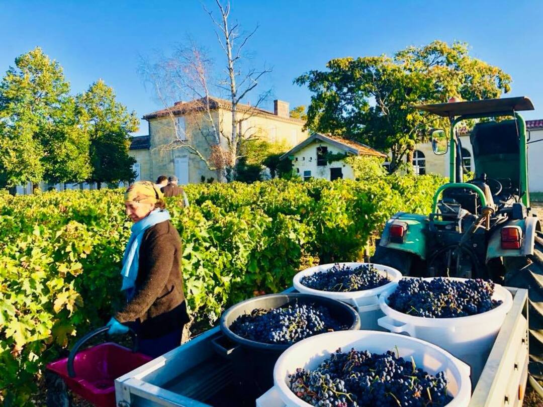 CHÂTEAU BELLES GRAVES, Lalande de Pomerol AOP | 2015 MEDIA BOTELLA