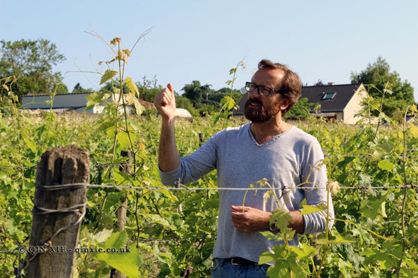 DOMAINE DES ROCHES NEUVES L'Echelier, Saumur Blanc AOP | 2019