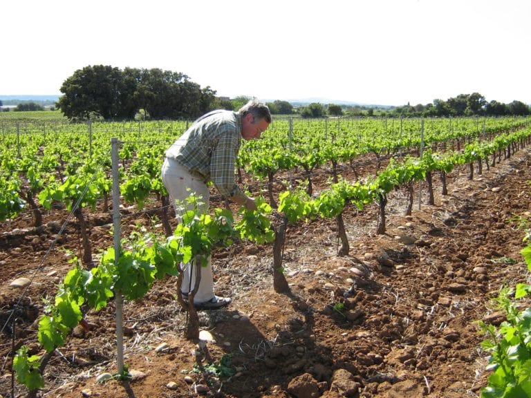 DOMAINE DE LA SOLITUDE Lançon Rouge, Côtes du Rhône AOP |  2022