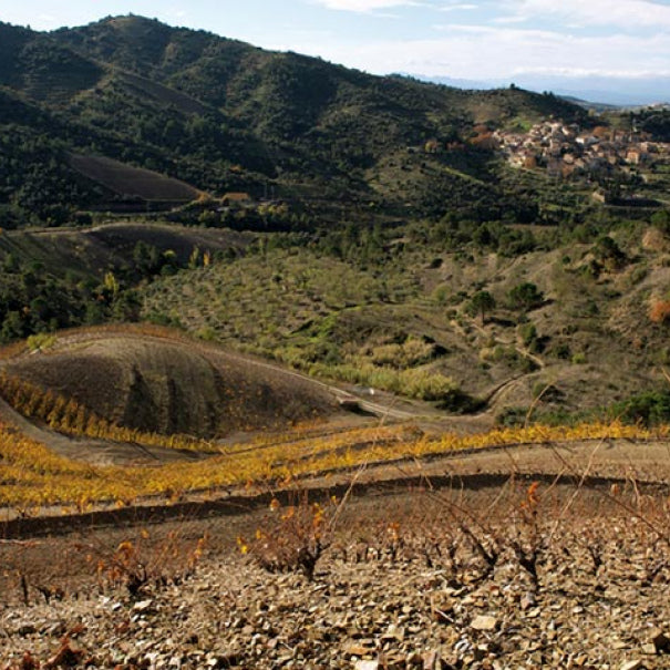 L'INFERNAL Riu Tinto, Priorat DOCa | 2018