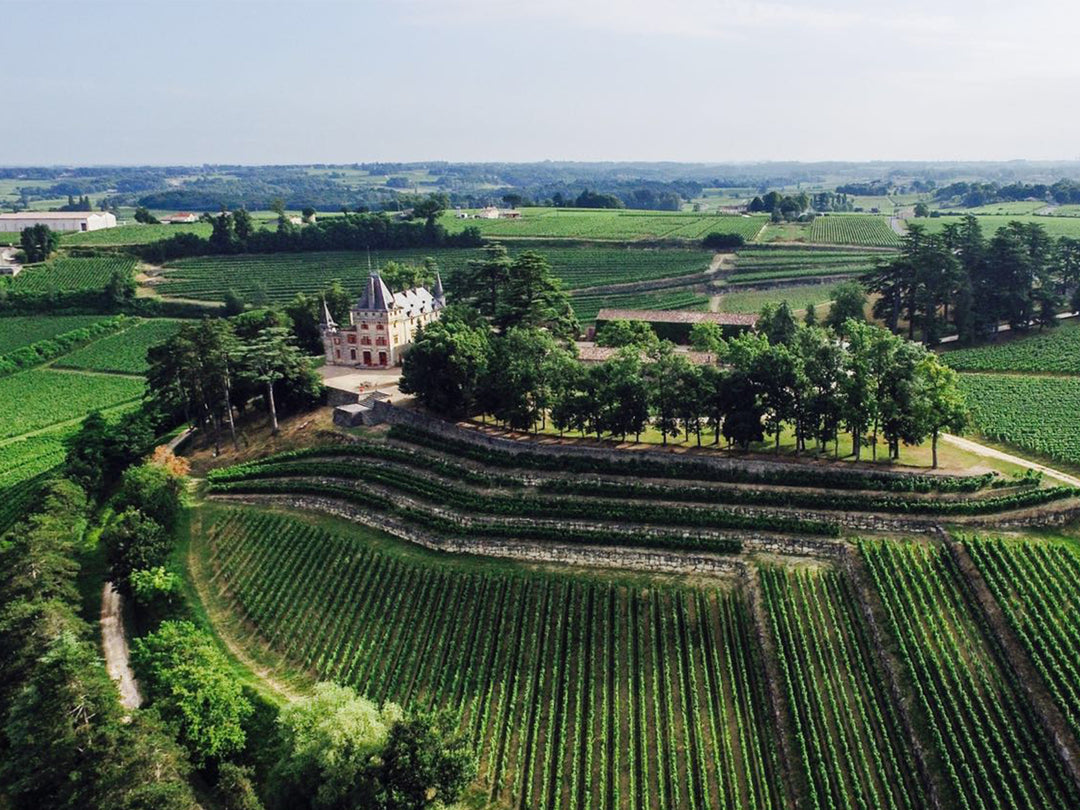 CHÂTEAU TOUR DE PRESSAC, Saint Emilion Grand Cru AOP | 2009 MEDIA BOTELLA