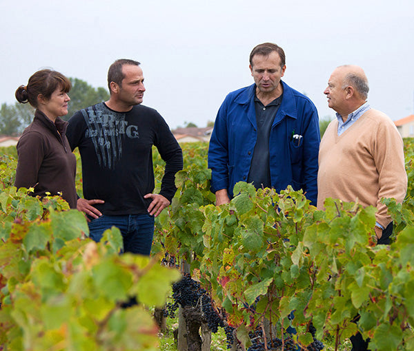 CHÂTEAU LEOVILLE POYFERRE Grand Cru Classé, Saint Julien AOP | 2014