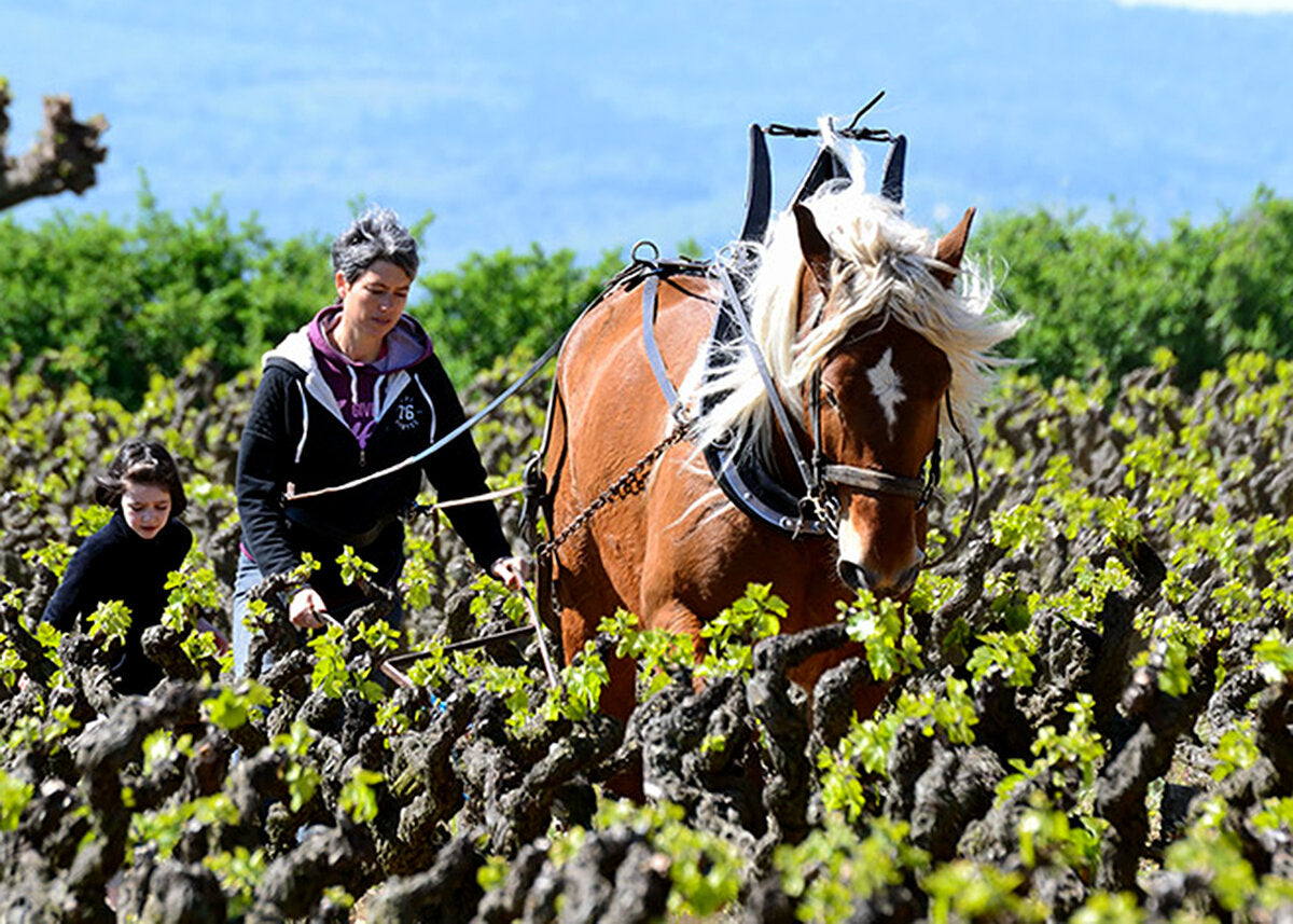 MAS DE LIBIAN La Calade, Côtes du Rhône AOP | 2022