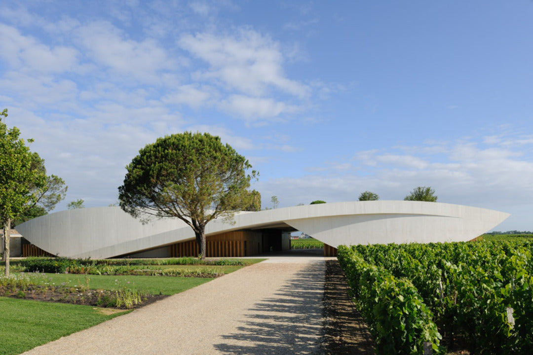 CHÂTEAU CHEVAL BLANC Le Petit Cheval Vin Blanc Sec, Bordeaux AOP | 2020