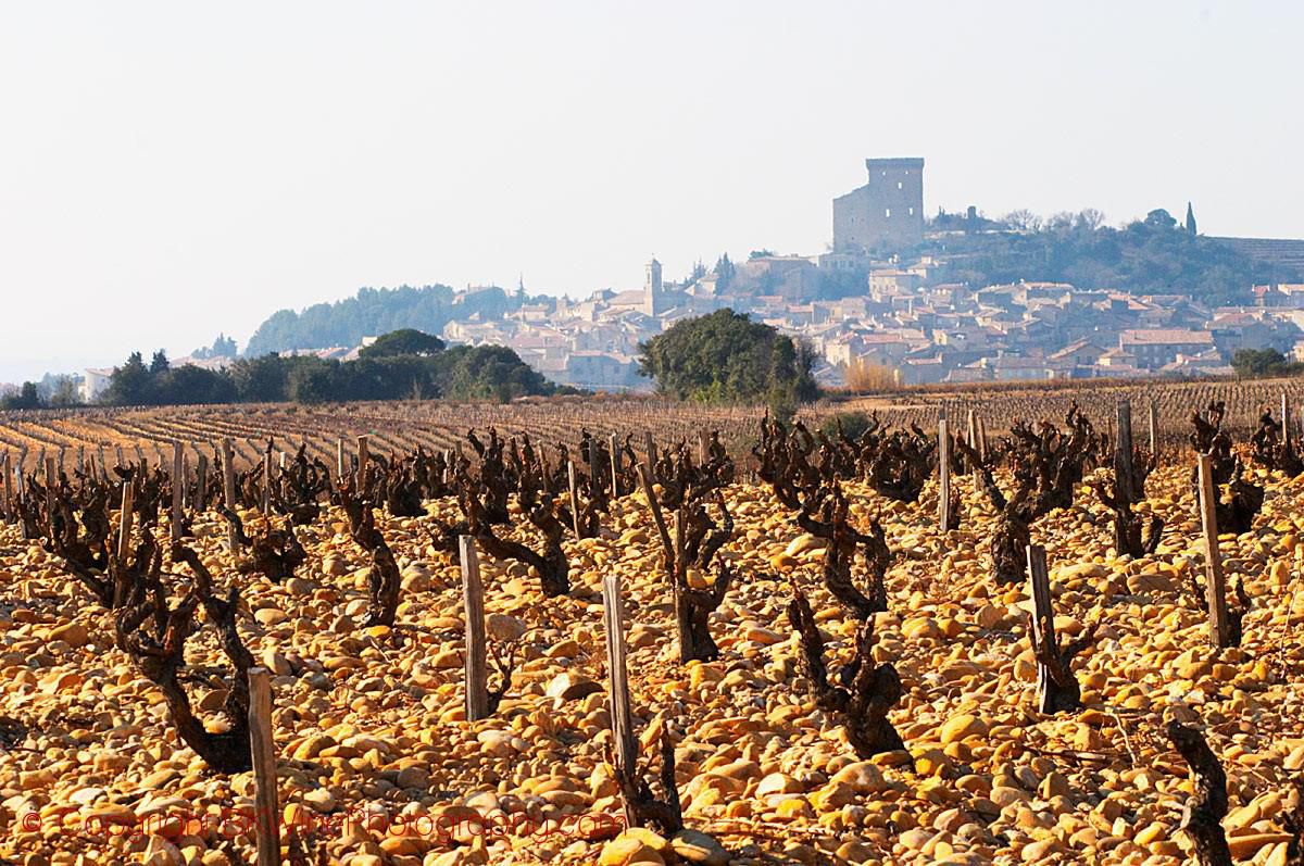 DOMAINE DE LA SOLITUDE Lançon Blanc, Côtes du Rhône AOP |  2021