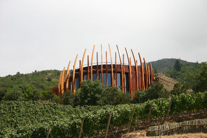 CLOS APALTA, Valle de Apalta, Colchagua | 2018