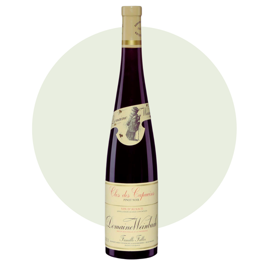 DOMAINE WEINBACH "Clos des Capucins" Pinot Noir, Alsace AOC | 2022