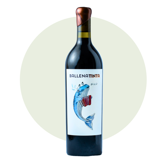 FLUXUS Ballena Tinta, Nebbiolo | 2021