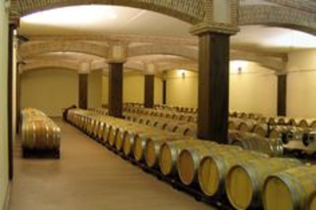 ASENJO Y MANSO Ceres, Ribera del Duero DO | 2019