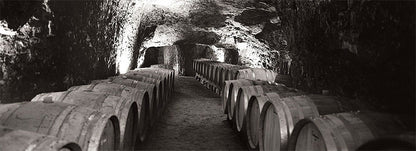 DOMAINE DES ROCHES NEUVES, Saumur Champigny AOP | 2024