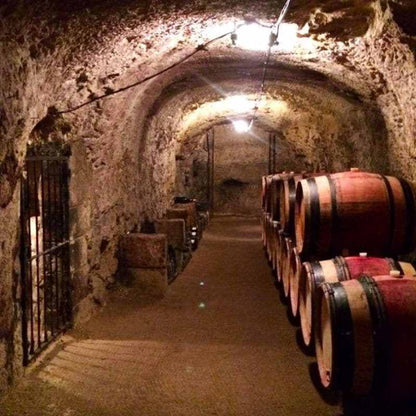 DOMAINE DES ROCHES NEUVES, Saumur Champigny AOP | 2024