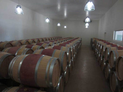 CHÂTEAU BELLES GRAVES, Lalande de Pomerol AOP | 2017