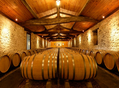 CHÂTEAU HAUT BERGERON, Sauternes AOP | 2022 MEDIA BOTELLA