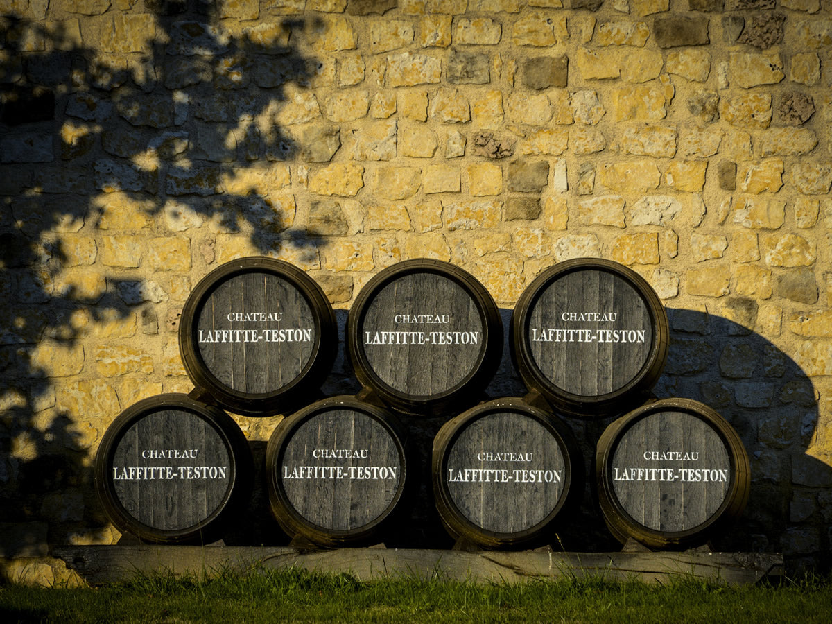 CHÂTEAU LAFFITTE TESTON Ericka, Pacherenc Du Vic Bilh Sec AOP | 2022