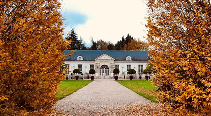 DOMAINE DES ROCHES NEUVES, Saumur Champigny AOP | 2024