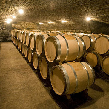 DOMAINE JM BOILLOT 1er Cru Les Rugiens, Pommard AOP | 2022 MAGNUM