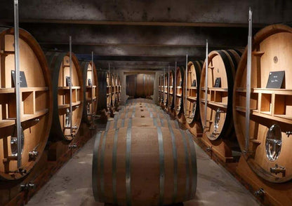 Champagne JACQUESSON Dizy-Terres Rouges | 2015 Extra Brut