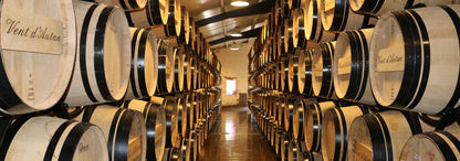 CHÂTEAU TOUR DE PRESSAC, Saint Emilion Grand Cru AOP | 2016