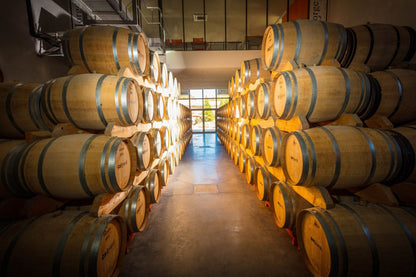 PENNAUTIER Pinot Noir, Pays d'Oc IGP | 2022