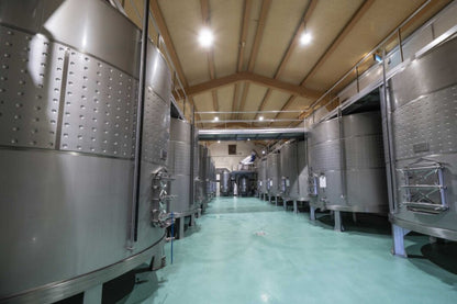 ASENJO Y MANSO A&M, Ribera del Duero DO | 2021