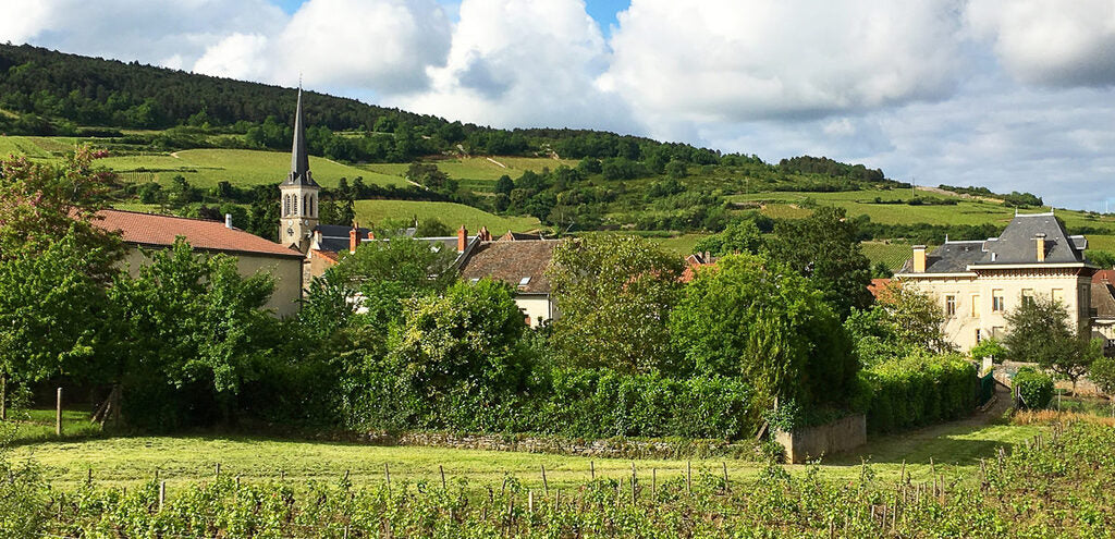 DOMAINE LEQUIN COLIN 1er Cru Les Morgeot, Chassagne Montrachet AOP | 2021