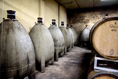 DOMAINE COMBIER Blanc, Crozes Hermitage AOP | 2022