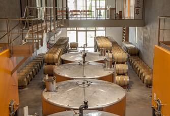 PENNAUTIER Pinot Noir, Pays d'Oc IGP | 2022