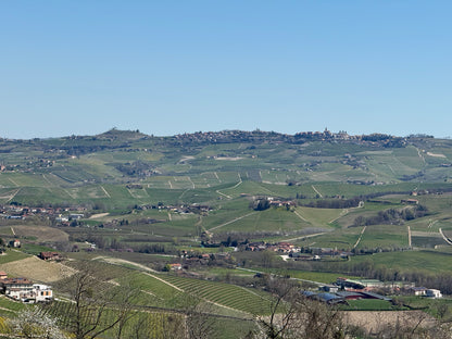 GD VAJRA Barbera d'Alba Superiore DOC, Piemonte | 2023