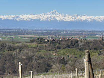 GD VAJRA Barbera d'Alba Superiore DOC, Piemonte | 2023