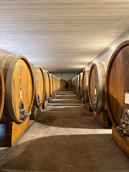 GD VAJRA Barbera d'Alba Superiore DOC, Piemonte | 2023