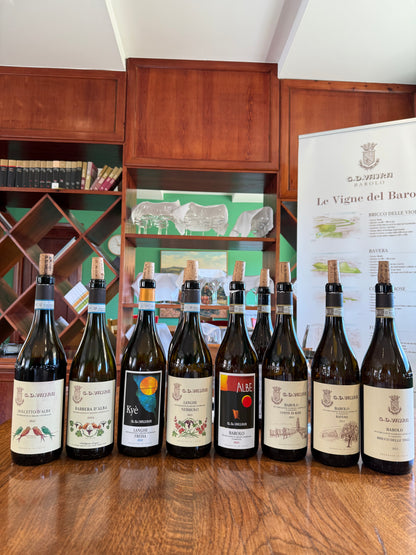 GD VAJRA Barbera d'Alba Superiore DOC, Piemonte | 2023