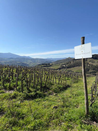 PODERE LE RIPI "Cielo d'Ulisse" Brunello di Montalcino DOCG | 2020