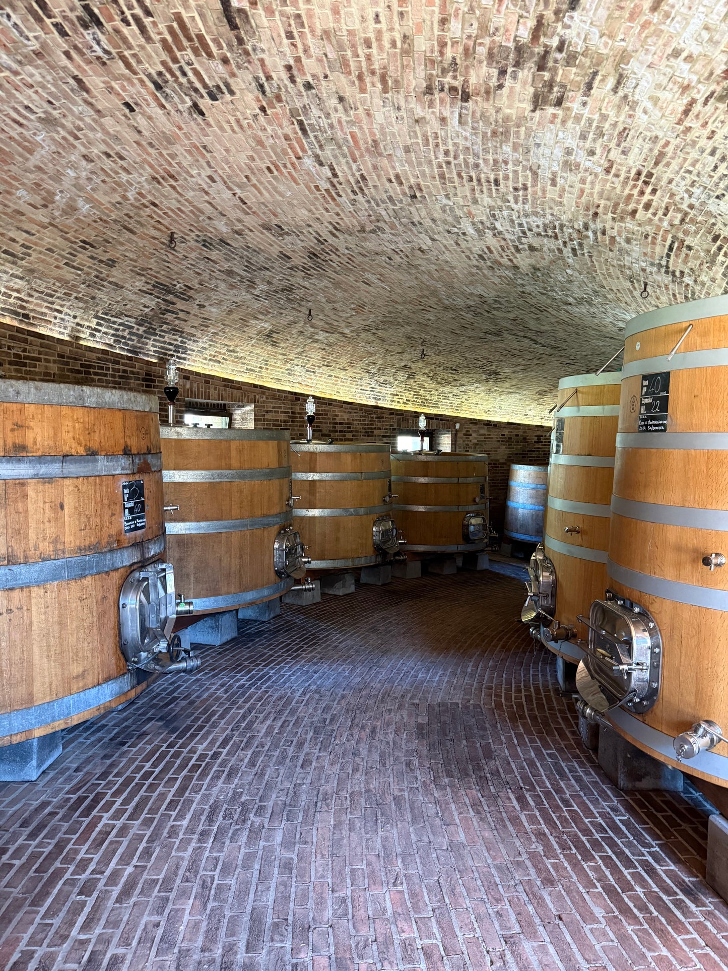 PODERE LE RIPI "Sogni e Follia" Rosso di Montalcino DOC | 2021