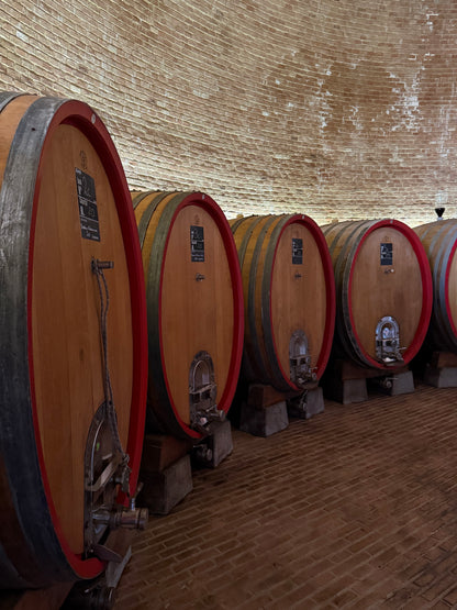 PODERE LE RIPI "Cielo d'Ulisse" Brunello di Montalcino DOCG | 2020