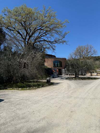 PODERE LE RIPI "Cielo d'Ulisse" Brunello di Montalcino DOCG | 2020