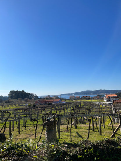 LAGAR DE COSTA, Rias Baixas DO, Albariño | 2024 MAGNUM