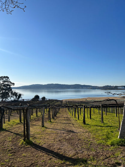 LAGAR DE COSTA, Rias Baixas DO, Albariño | 2024 MAGNUM
