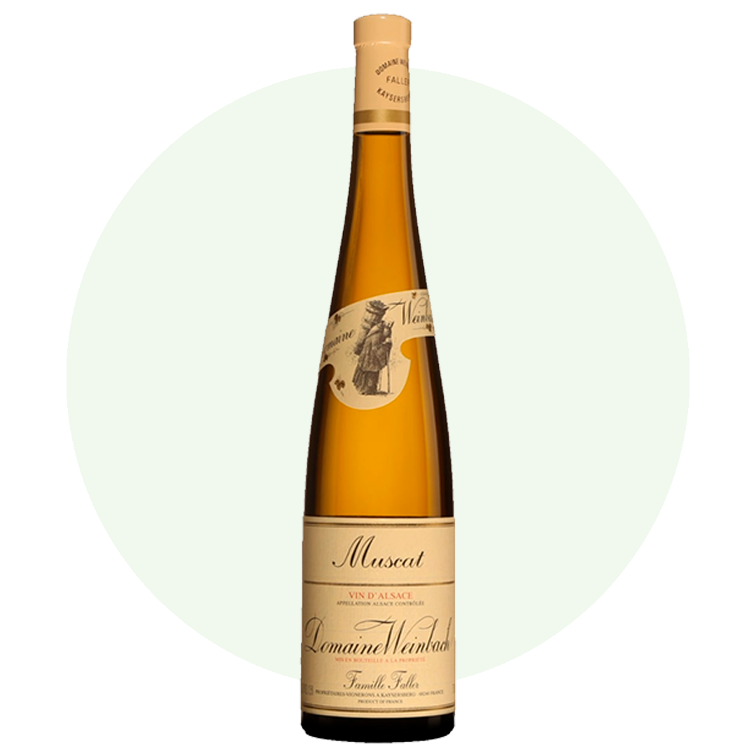 DOMAINE WEINBACH "Muscat" Alsace AOP | 2022